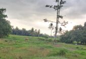 LAHAN KAVLING PROMO BULAN DESEMBER