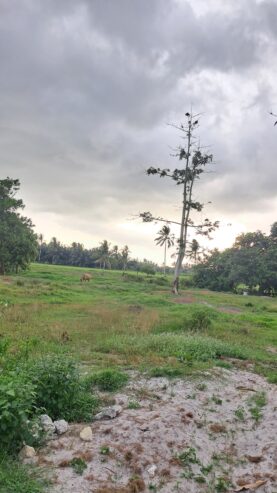 LAHAN KAVLING PROMO BULAN DESEMBER