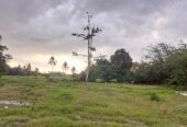 LAHAN KAVLING PROMO BULAN DESEMBER