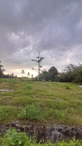 LAHAN KAVLING PROMO BULAN DESEMBER