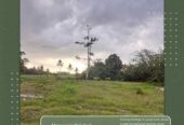 LAHAN KAVLING PROMO BULAN DESEMBER