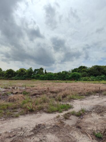 TANAH KAVLING MURAH