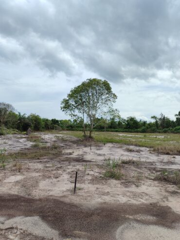 TANAH KAVLING MURAH