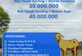 TANAH KAVLING BONUS HEWAN QURBAN