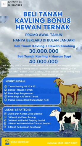 TANAH KAVLING BONUS HEWAN QURBAN