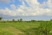 BELI TANAH KAVLING SEKALIGUS BERINFAK