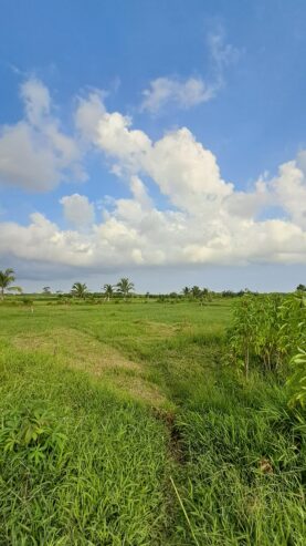 BELI TANAH KAVLING SEKALIGUS BERINFAK