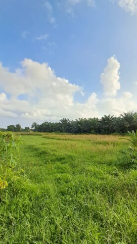 BELI TANAH KAVLING SEKALIGUS BERINFAK